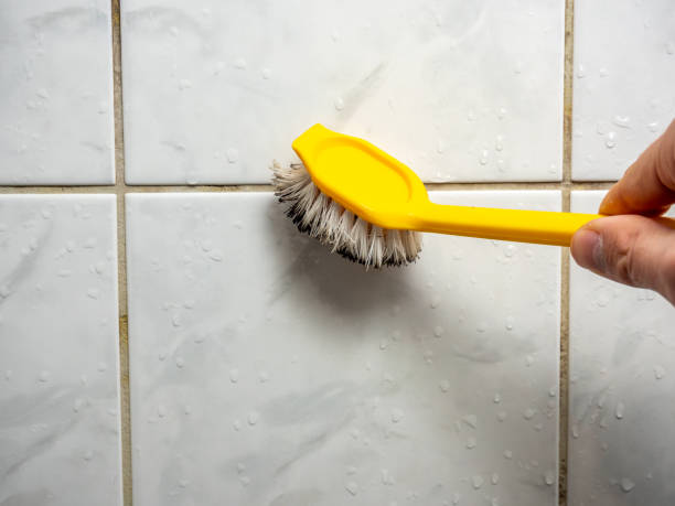 Best Mold Damage Repair  in Genoa, AR