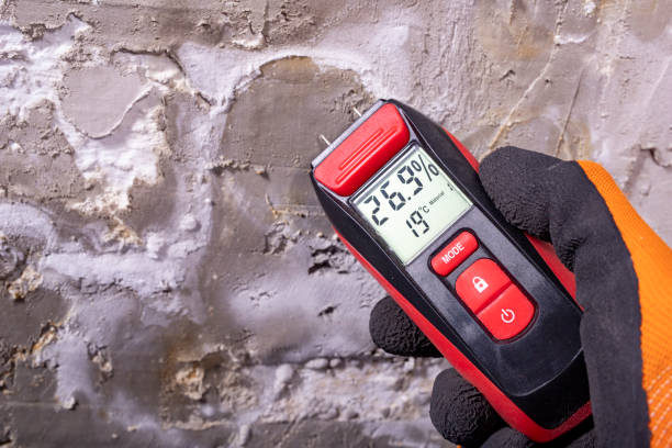 Best Mold Cleaning Services  in Genoa, AR