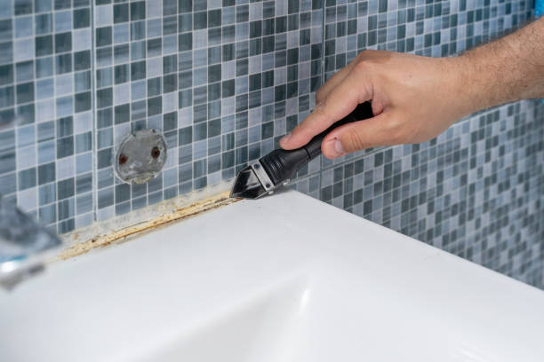 Best Local Mold Removal Service  in Genoa, AR