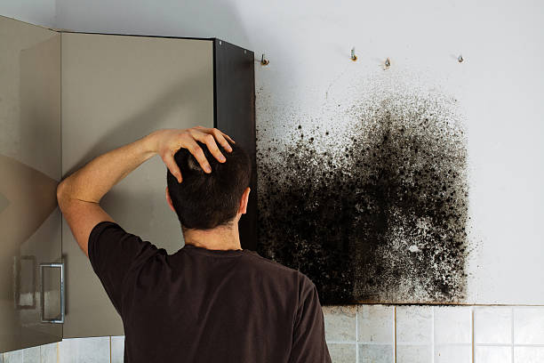 Best Office Mold Removal Services  in Genoa, AR